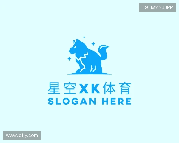 了解XK星空体育